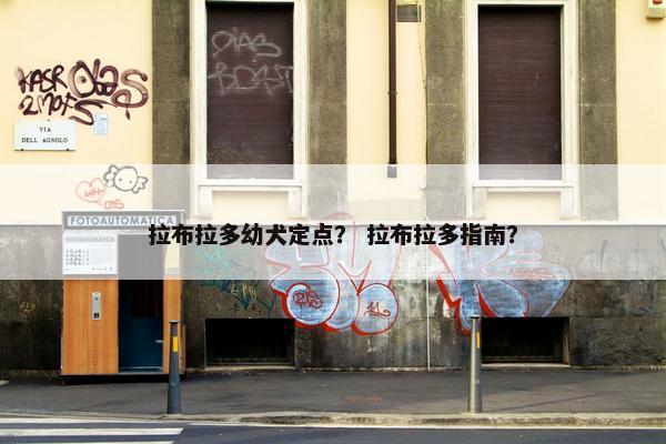 拉布拉多幼犬定点？ 拉布拉多指南？