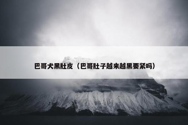巴哥犬黑肚皮（巴哥肚子越来越黑要紧吗）