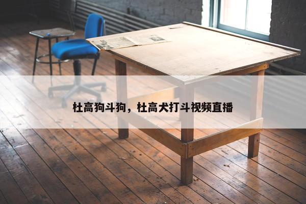 杜高狗斗狗，杜高犬打斗视频直播