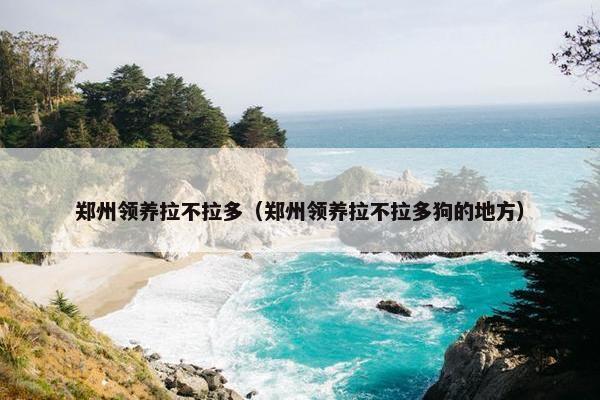 郑州领养拉不拉多（郑州领养拉不拉多狗的地方）