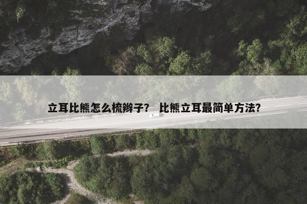 立耳比熊怎么梳辫子？ 比熊立耳最简单方法？