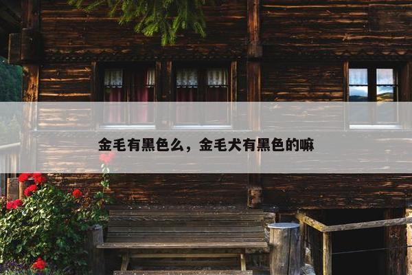金毛有黑色么，金毛犬有黑色的嘛