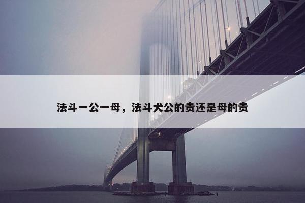 法斗一公一母，法斗犬公的贵还是母的贵