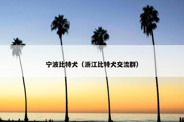 宁波比特犬（浙江比特犬交流群）