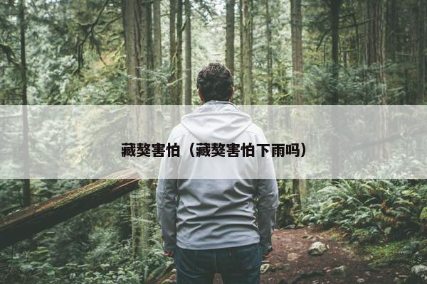 藏獒害怕（藏獒害怕下雨吗）