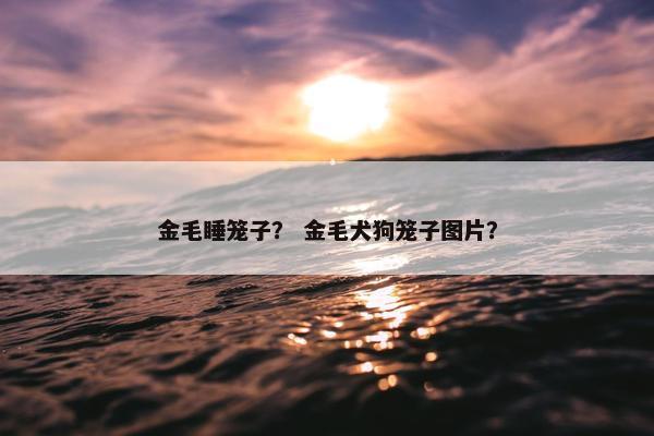 金毛睡笼子？ 金毛犬狗笼子图片？