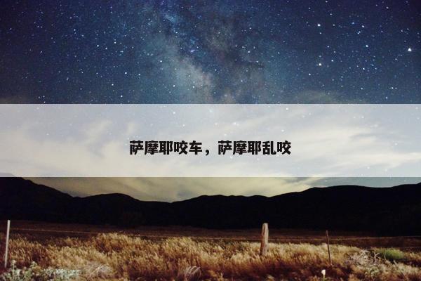 萨摩耶咬车，萨摩耶乱咬