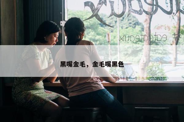 黑嘴金毛，金毛嘴黑色