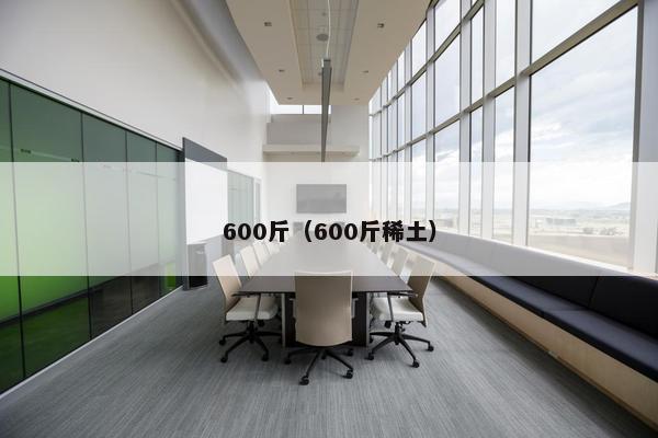 600斤（600斤稀土）