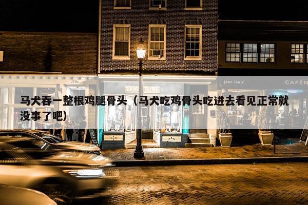 马犬吞一整根鸡腿骨头（马犬吃鸡骨头吃进去看见正常就没事了吧）