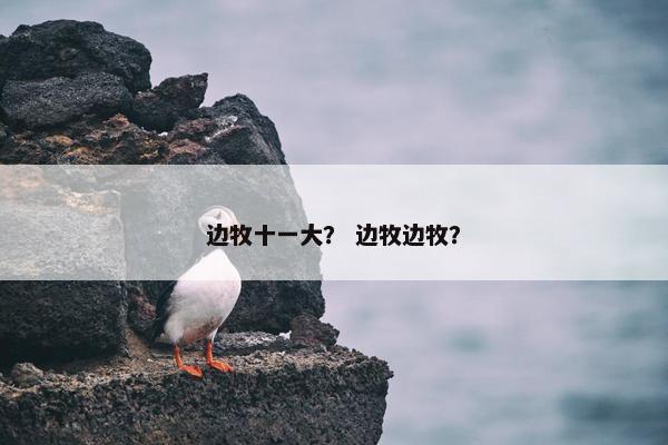 边牧十一大？ 边牧边牧？