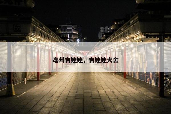 亳州吉娃娃，吉娃娃犬舍