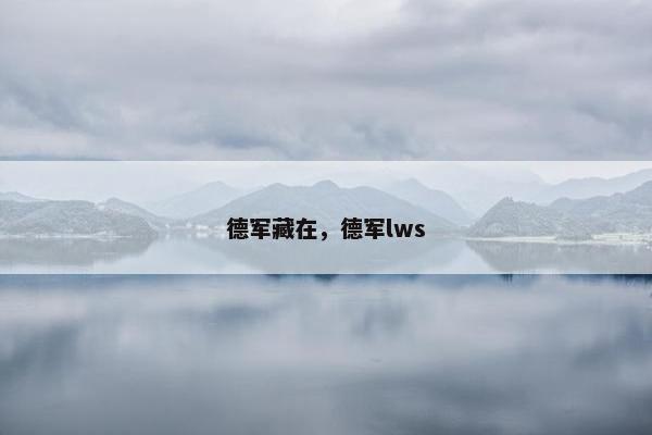 德军藏在，德军lws