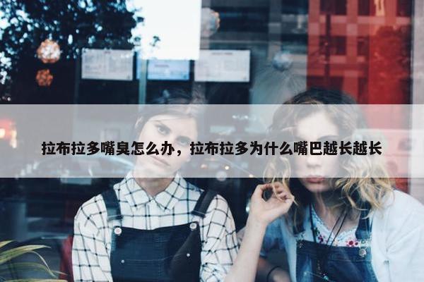 拉布拉多嘴臭怎么办，拉布拉多为什么嘴巴越长越长