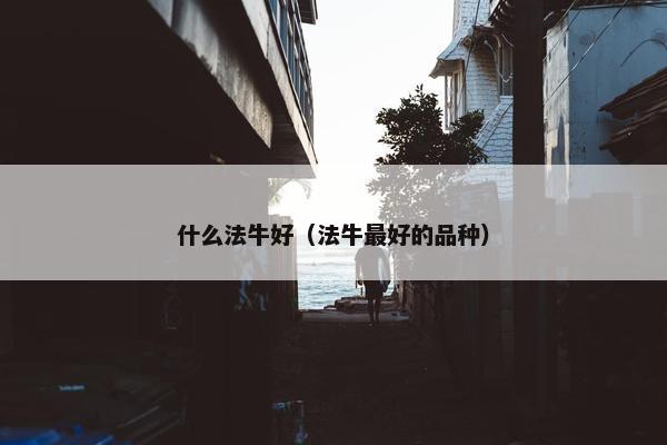 什么法牛好（法牛最好的品种）