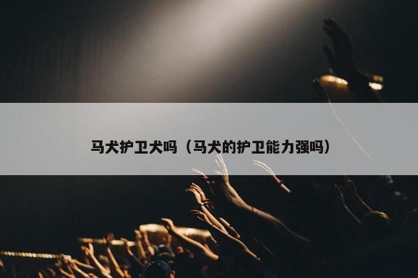 马犬护卫犬吗（马犬的护卫能力强吗）
