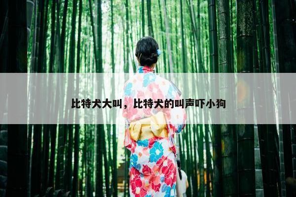 比特犬大叫，比特犬的叫声吓小狗