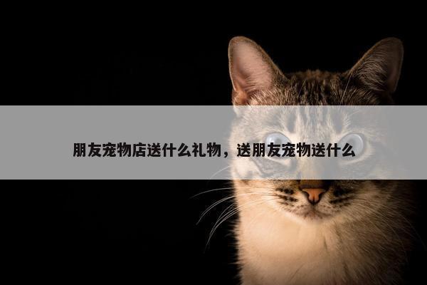 朋友宠物店送什么礼物，送朋友宠物送什么
