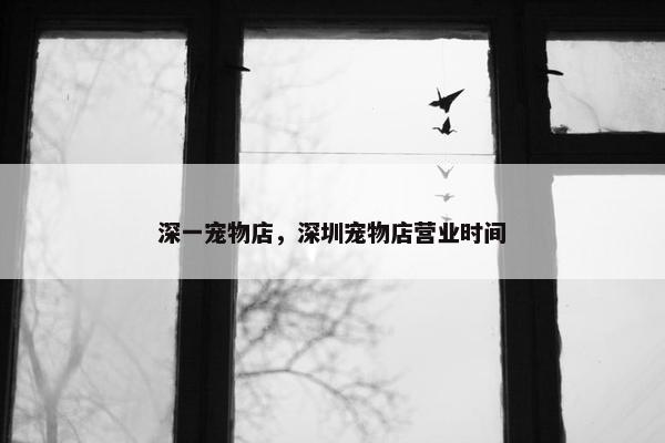 深一宠物店，深圳宠物店营业时间