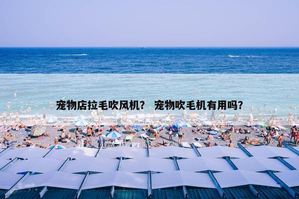 宠物店拉毛吹风机？ 宠物吹毛机有用吗？