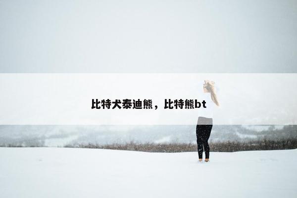 比特犬泰迪熊，比特熊bt