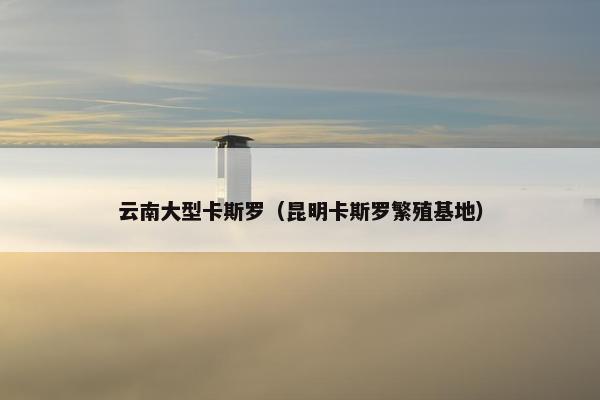 云南大型卡斯罗（昆明卡斯罗繁殖基地）
