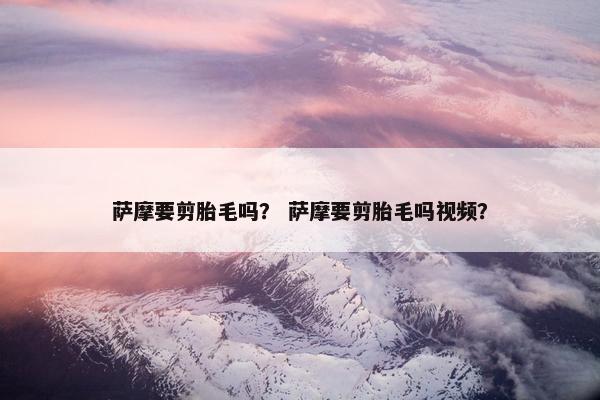 萨摩要剪胎毛吗？ 萨摩要剪胎毛吗视频？
