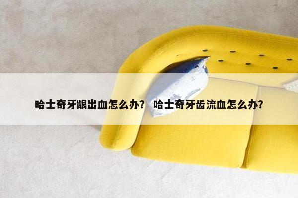 哈士奇牙龈出血怎么办？ 哈士奇牙齿流血怎么办？