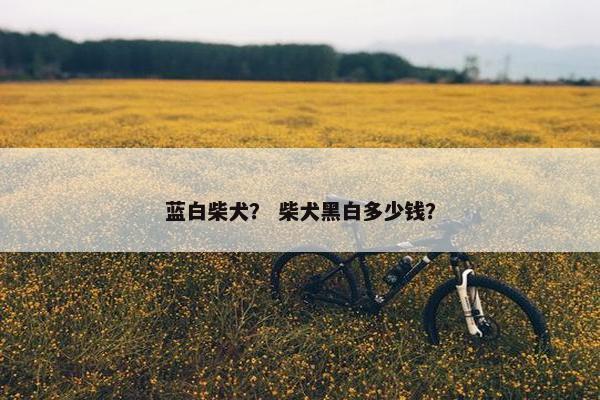 蓝白柴犬？ 柴犬黑白多少钱？