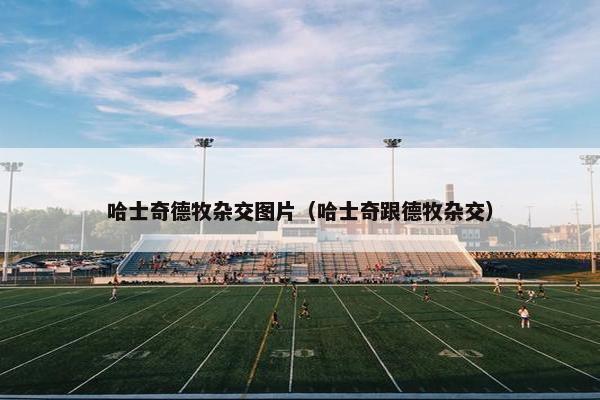 哈士奇德牧杂交图片（哈士奇跟德牧杂交）