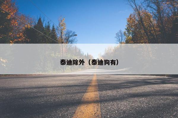 泰迪除外（泰迪狗有）