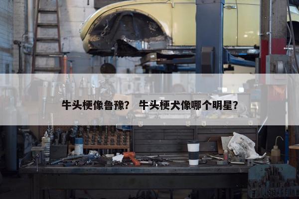 牛头梗像鲁豫？ 牛头梗犬像哪个明星？