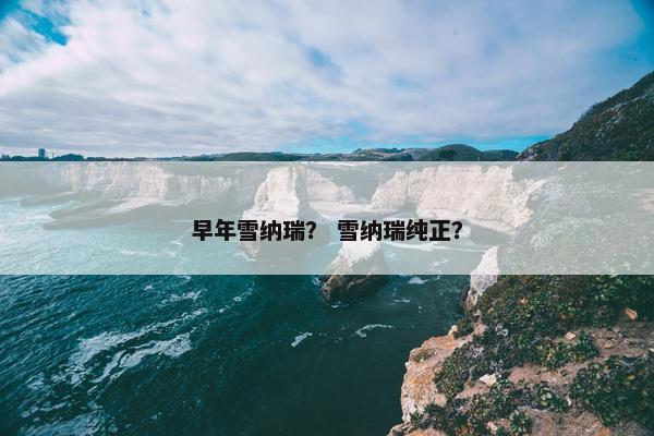 早年雪纳瑞？ 雪纳瑞纯正？
