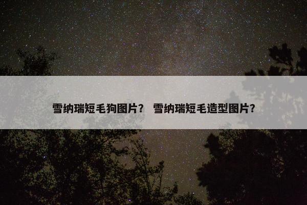 雪纳瑞短毛狗图片？ 雪纳瑞短毛造型图片？