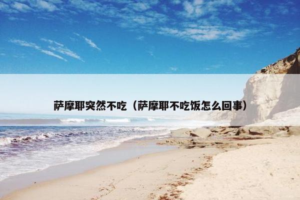 萨摩耶突然不吃（萨摩耶不吃饭怎么回事）