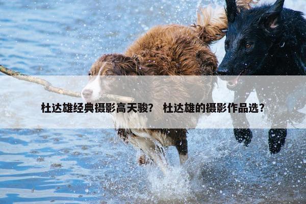 杜达雄经典摄影高天骏？ 杜达雄的摄影作品选？