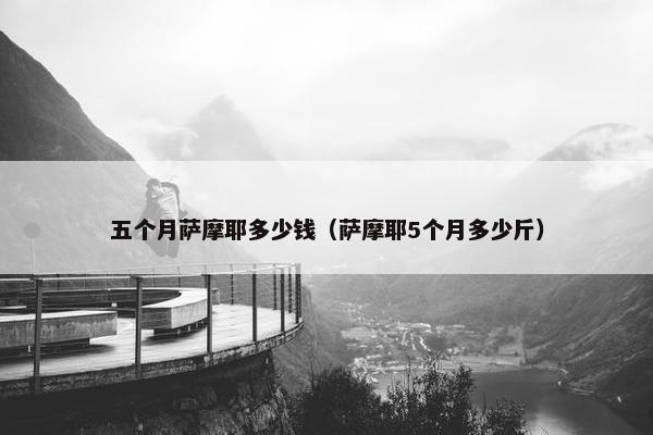 五个月萨摩耶多少钱（萨摩耶5个月多少斤）