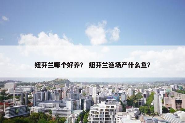 纽芬兰哪个好养？ 纽芬兰渔场产什么鱼？
