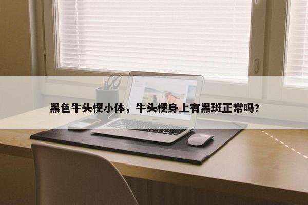 黑色牛头梗小体，牛头梗身上有黑斑正常吗?