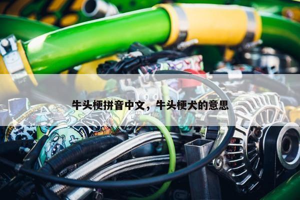 牛头梗拼音中文，牛头梗犬的意思