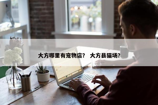大方哪里有宠物店？ 大方县猫场？