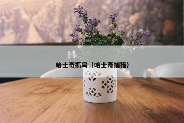 哈士奇抓鸟（哈士奇捕猎）