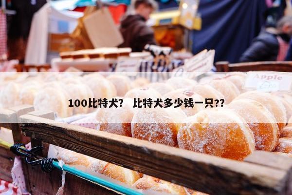 100比特犬？ 比特犬多少钱一只?？