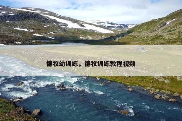 德牧幼训练，德牧训练教程视频