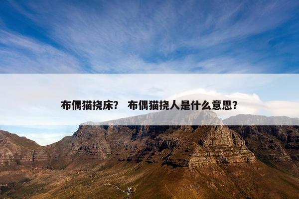 布偶猫挠床？ 布偶猫挠人是什么意思？