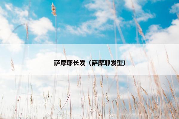萨摩耶长发（萨摩耶发型）