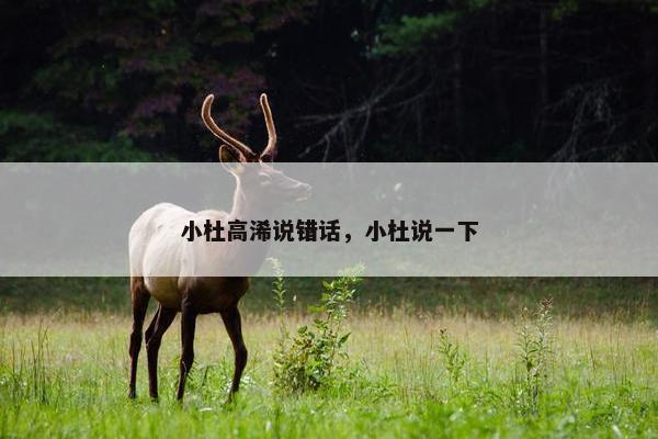 小杜高浠说错话，小杜说一下
