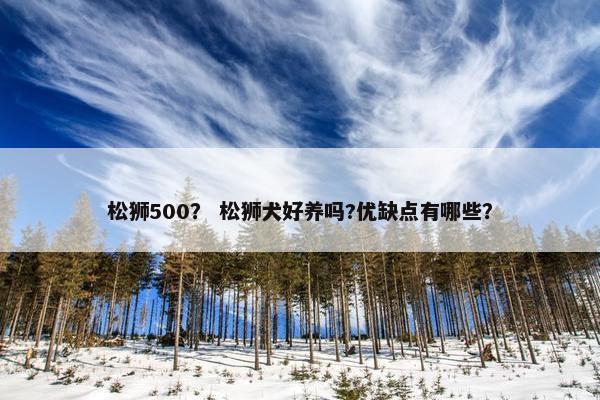 松狮500？ 松狮犬好养吗?优缺点有哪些？