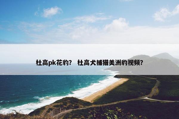 杜高pk花豹？ 杜高犬捕猎美洲豹视频？