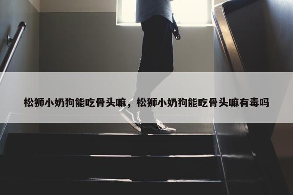松狮小奶狗能吃骨头嘛，松狮小奶狗能吃骨头嘛有毒吗